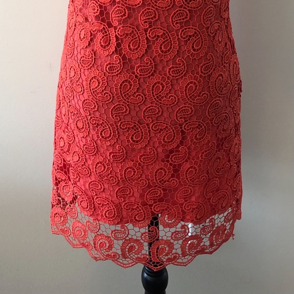 Coral knit cap sleeve dress - Picture 8 of 10